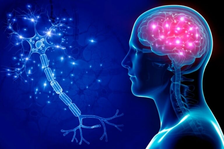 الخوارزميات أم الثقافة التراكمية.. كيف تتفاعل أدمغتنا مع المعلومات المزيفة؟